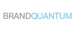 dmp Data Management Professionals